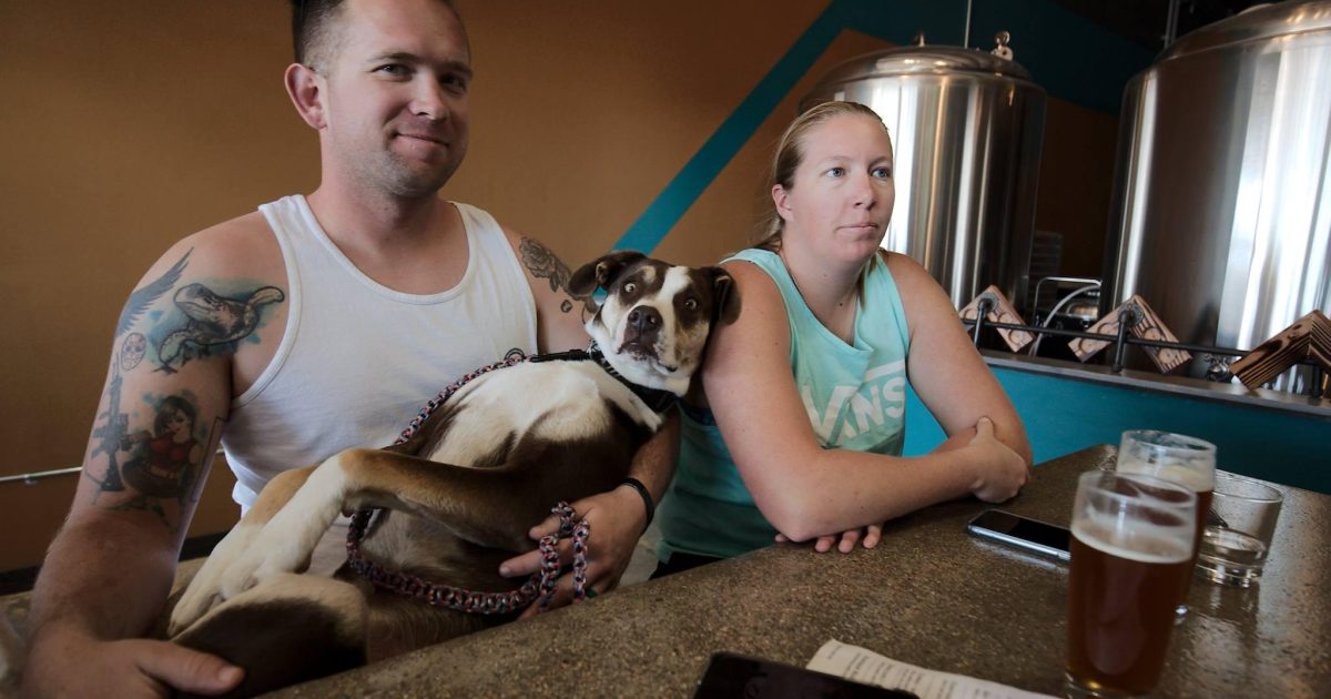 Top 10 DogFriendly Breweries in Colorado Springs Visit Colorado Springs