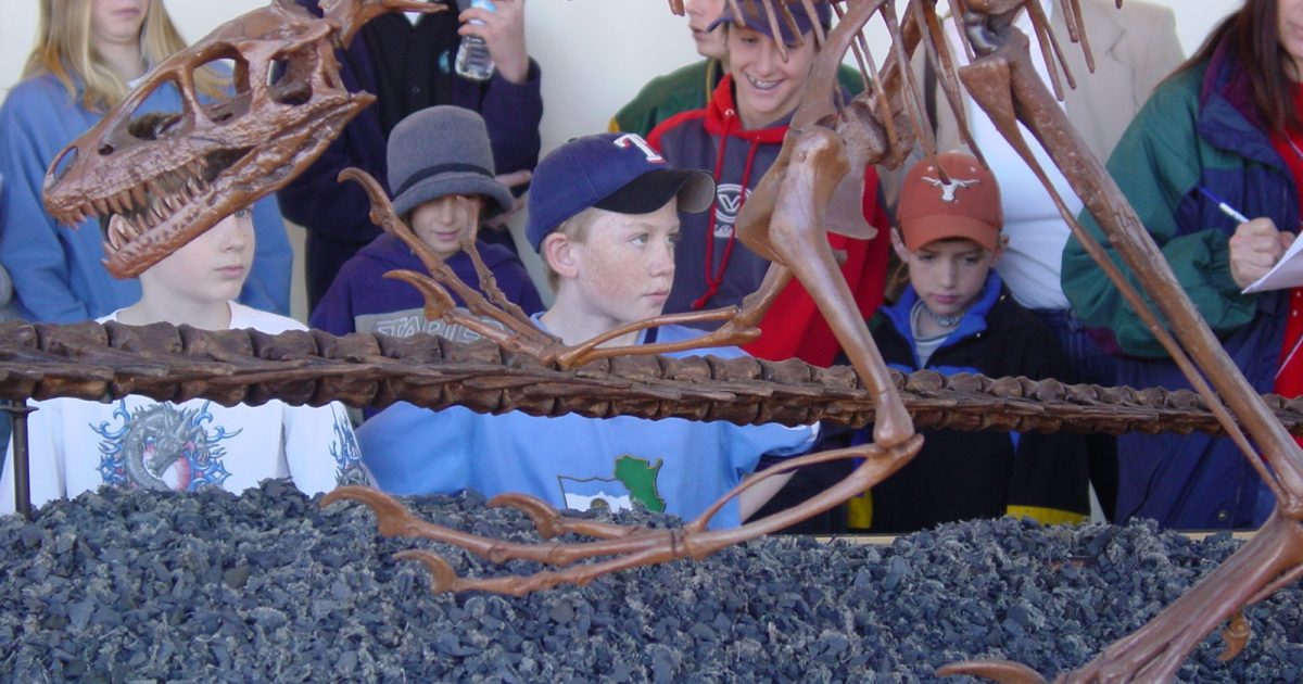 23+ Kid Activities Colorado Springs