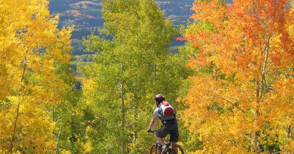 6 Best Ways to See Fall Leaves in Colorado Springs - Visit Colorado Springs