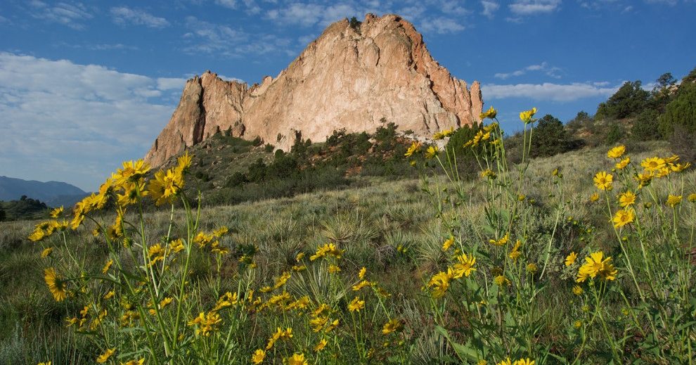 Wildflower Hikes near Colorado Springs, Colorado Visit Colorado Springs